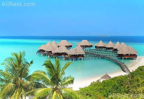 Coco Palm Resort & Spa 4